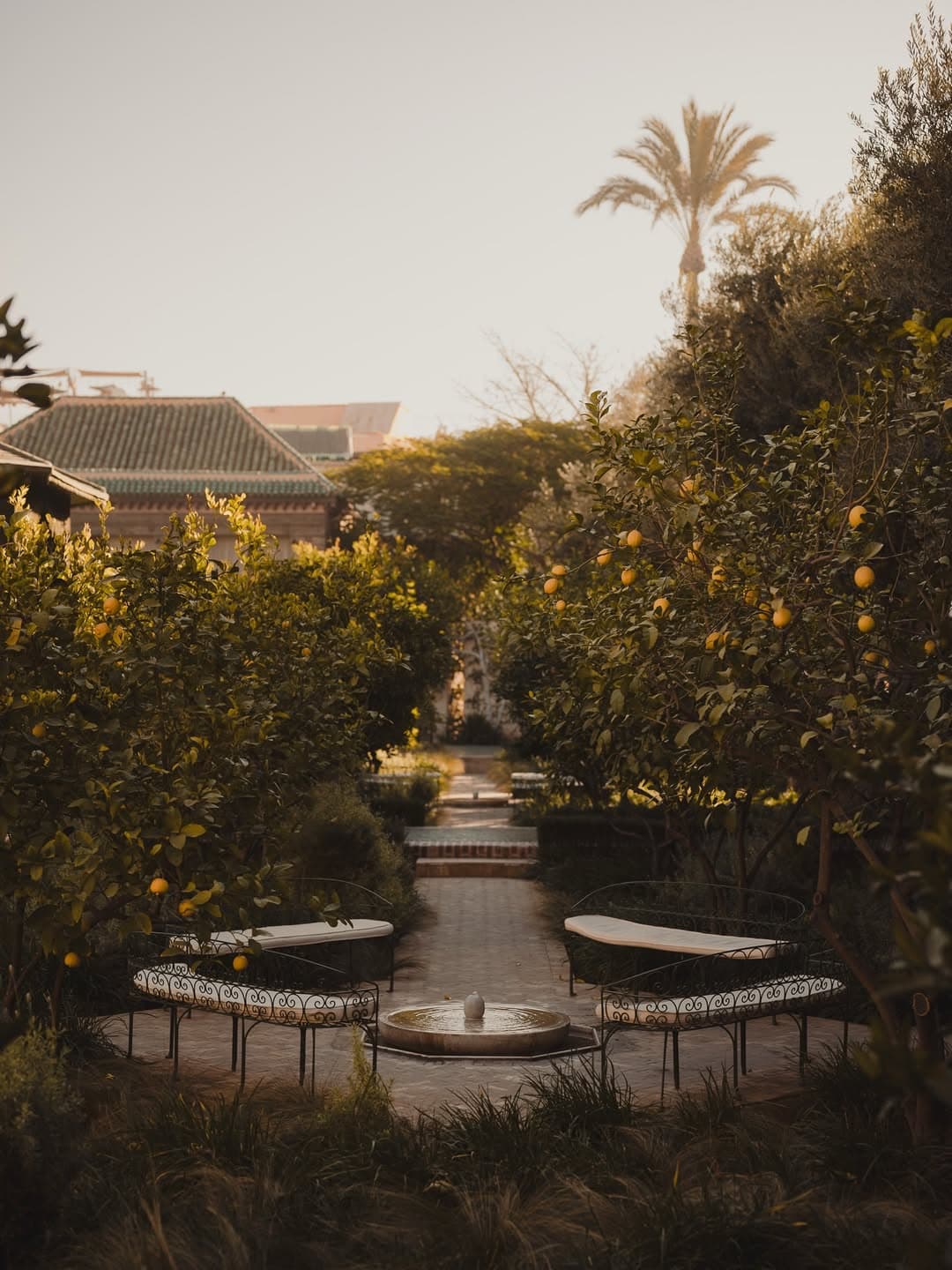 Credit: Andrius Boldysevas