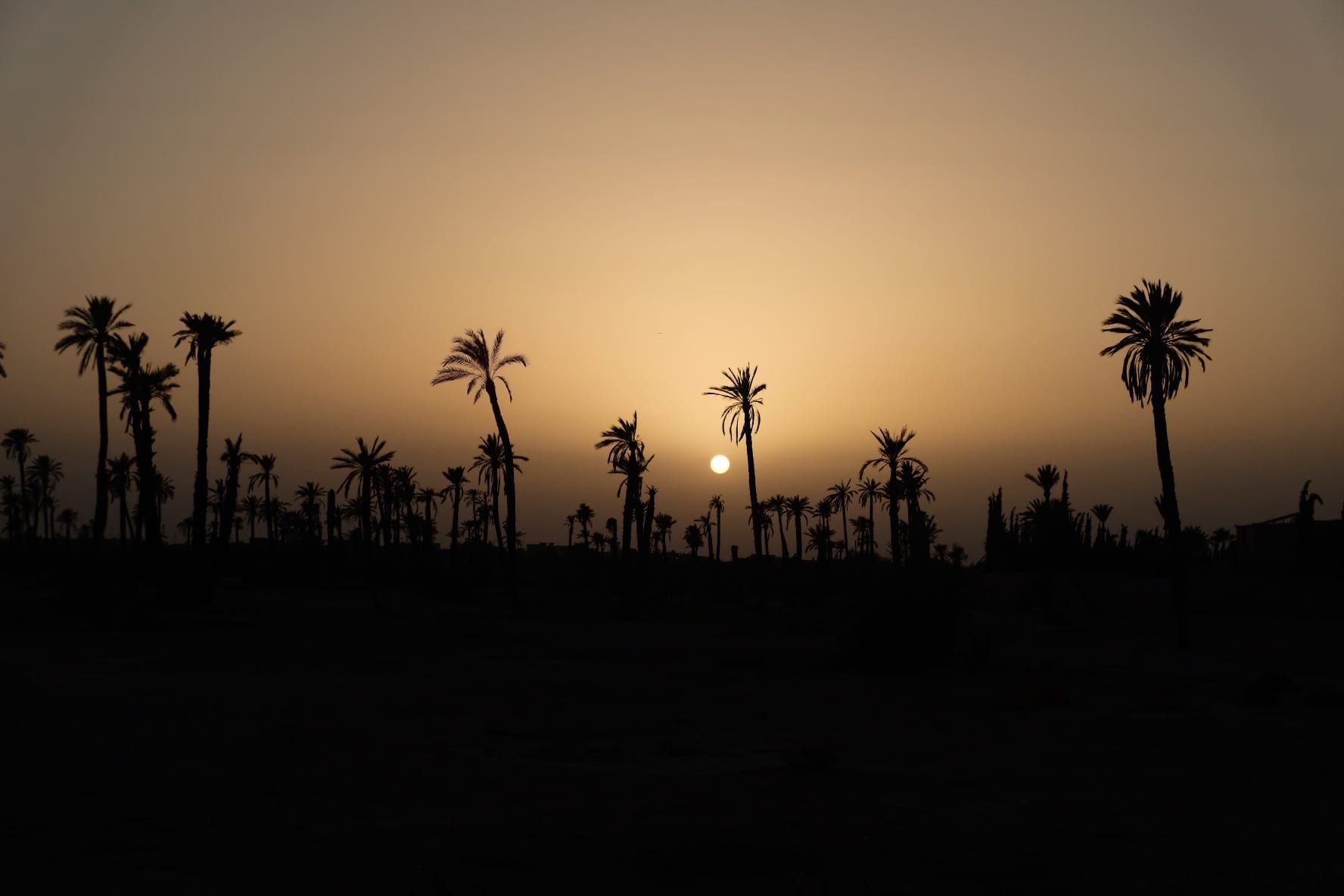 Marrakech